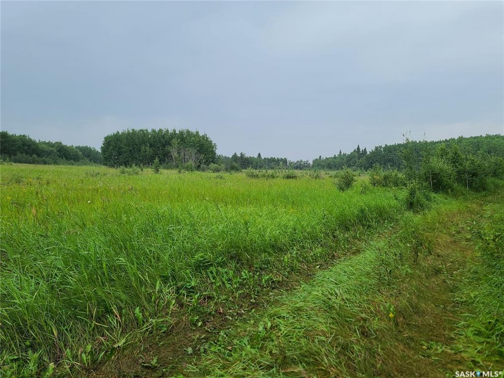 Photograph of Listing